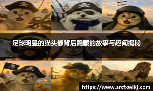 足球明星的猫头像背后隐藏的故事与趣闻揭秘